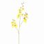 DANCING ORCHID 100CM YELLOW