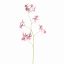 SPIDER ORCHID 111CM LAVENDER