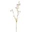 WILD DELPHINIUM SPRAY 75CM LILAC
