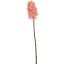 LARGE HYACINTHUS 75CM CREAM PINK