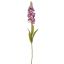 DELPHINIUM 85CM LAVENDER