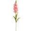 DELPHINIUM 85CM PINK
