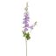 DELPHINIUM 80CM LAVENDER