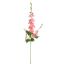DELPHINIUM 95CM PINK