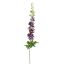 LARGE DELPHINIUM 106CM BURGUNDY