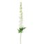 LARGE DELPHINIUM 106CM CREAM