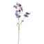 ACONITUM 80CM BLUE