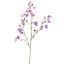 LARGE ACONITUM 120CM LAVENDER