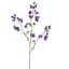 LARGE ACONITUM 120CM PURPLE