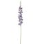 SINGLE ACONITUM 135CM BLUE
