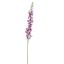SINGLE ACONITUM 135CM LAVENDER