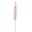SINGLE ACONITUM 135CM PINK
