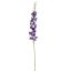 SINGLE ACONITUM 135CM PURPLE