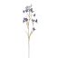 SLIM DELPHINIUM 75CM DARK BLUE