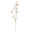 SLIM DELPHINIUM 75CM PINK