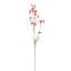 SLIM DELPHINIUM 75CM TERRACOTTA