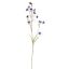 SLIM DELPHINIUM 75CM TWO TONE BLUE