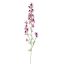 DELPHINIUM 95CM LAVENDER
