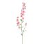 DELPHINIUM 95CM PINK