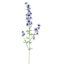 DELPHINIUM 95CM TWO TONE BLUE