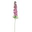 DELPHINIUM 110CM LAVENDER