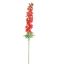 DELPHINIUM 110CM TERRACOTTA