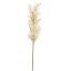 FLOWER ASPARAGUS 76CM CREAM