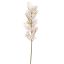 FLOWER ASPARAGUS 76CM CREAM PINK