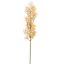 FLOWER ASPARAGUS 76CM PEACH
