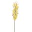 FLOWER ASPARAGUS 76CM YELLOW