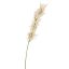 FLOWER ASPARAGUS 115CM CREAM
