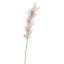 FLOWER ASPARAGUS 115CM CREAM PINK