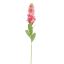 STOCK FLOWER 80CM BEAUTY