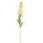 STOCK FLOWER 80CM VANILLA