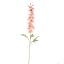 DELPHINIUM 89CM PINK