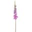 DELPHINIUM 135CM LAVENDER
