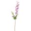 DELPHINIUM 80CM LAVENDER