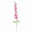 DELPHINIUM 127CM BEAUTY