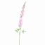 DELPHINIUM 127CM PINK