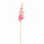 SNAPDRAGONS 81CM PINK