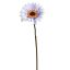 SINGLE SMALL GERBERA 36CM CREAM BLUE