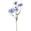 DAISY SPRAY 60CM BLUE