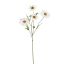 DAISY SPRAY 60CM CREAM