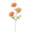 SPIDER GERBERA 65CM ORANGE