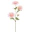 SPIDER GERBERA 65CM PINK