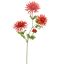 SPIDER GERBERA 65CM RED