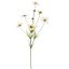 LARGE DAISY SPRAY 92CM CREAM