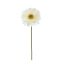 SINGLE GERBERA 56CM CREAM