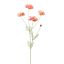 COSMOS 92CM MAUVE