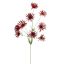 RUDBECKIA 95CM RED